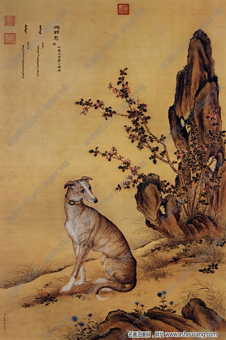 郎世寧 十駿犬圖2-斑錦彪 高清名畫(huà)下載