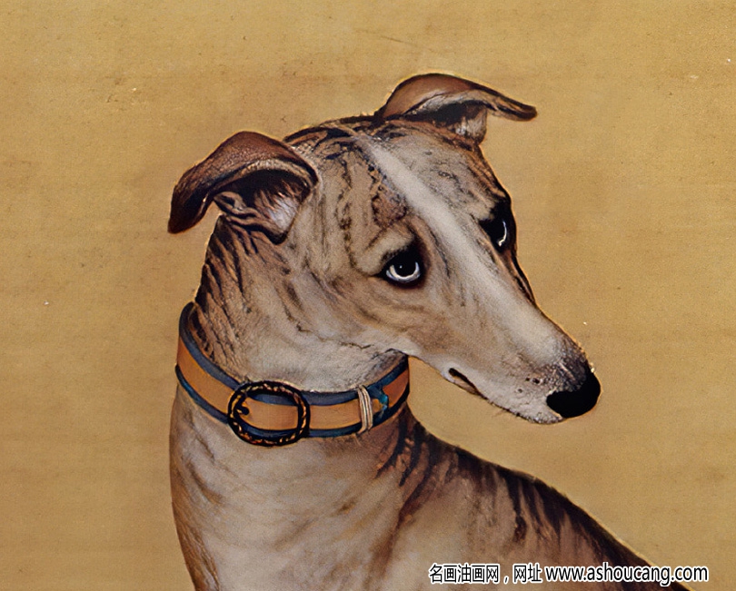 郎世寧 十駿犬圖2-斑錦彪 高清名畫(huà)下載