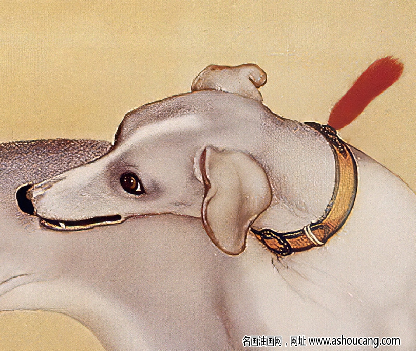 郎世寧 十駿犬圖3-蒼水虬 高清名畫下載